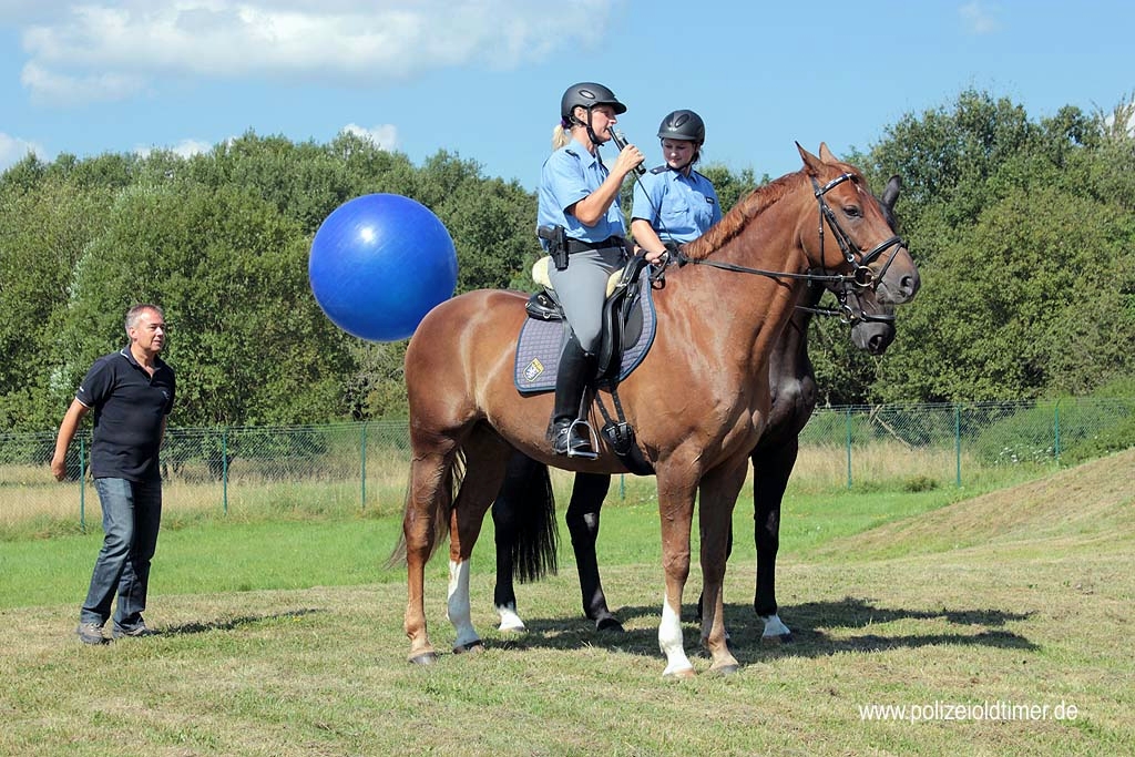 Sommerfest-Polizeioldtimer-Museum_2012 (70).jpg